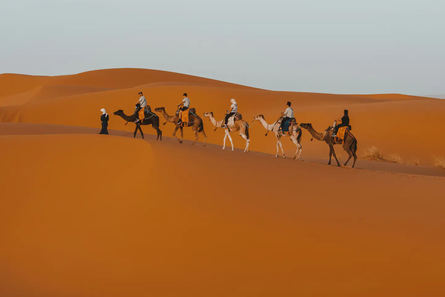 Fes to Marrakech desert tour